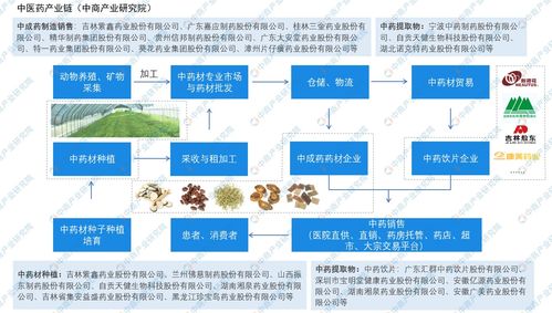 广东发文促进中医药传承创新发展 中医药行业前景分析 图