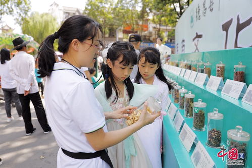 德昌县 传承中医药文化 品味浓情粽香