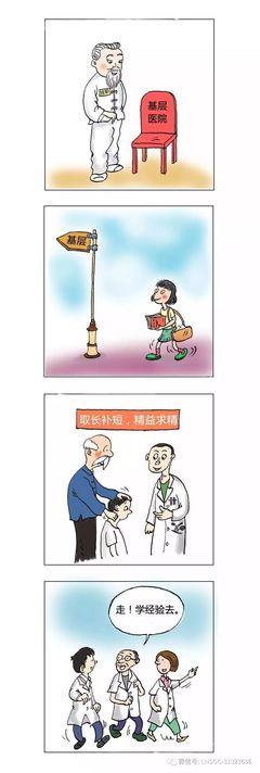 【漫画连载】图解《中医药法》(十二)