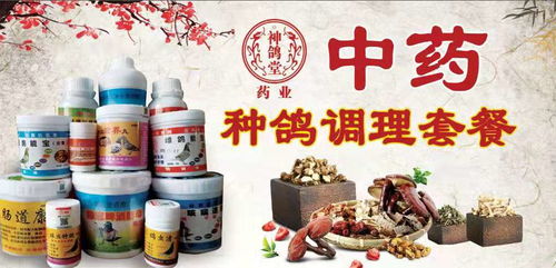 种鸽中药调理套餐产品展示