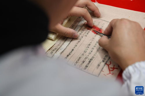 保护中医古籍 传承文化薪火